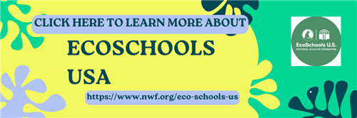 EcoSchools